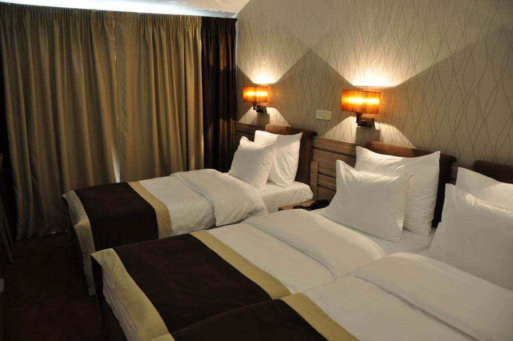Hotel Danubia Park garni Veliko Gradište Rum bild