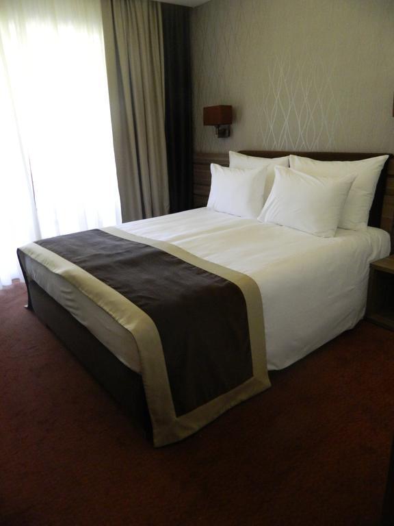 Hotel Danubia Park garni Veliko Gradište Rum bild